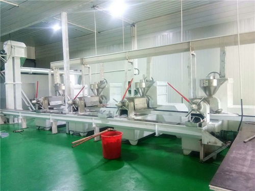 食用油牡丹籽油精煉油設(shè)備多少錢 悅恒機(jī)械誠(chéng)信經(jīng)營(yíng)